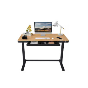 Computer Table with Memory Storage