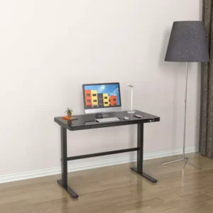 Electric Standing Desk